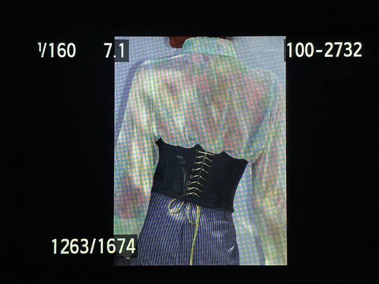 Black laced corset worn over a sheer iridescent blouse