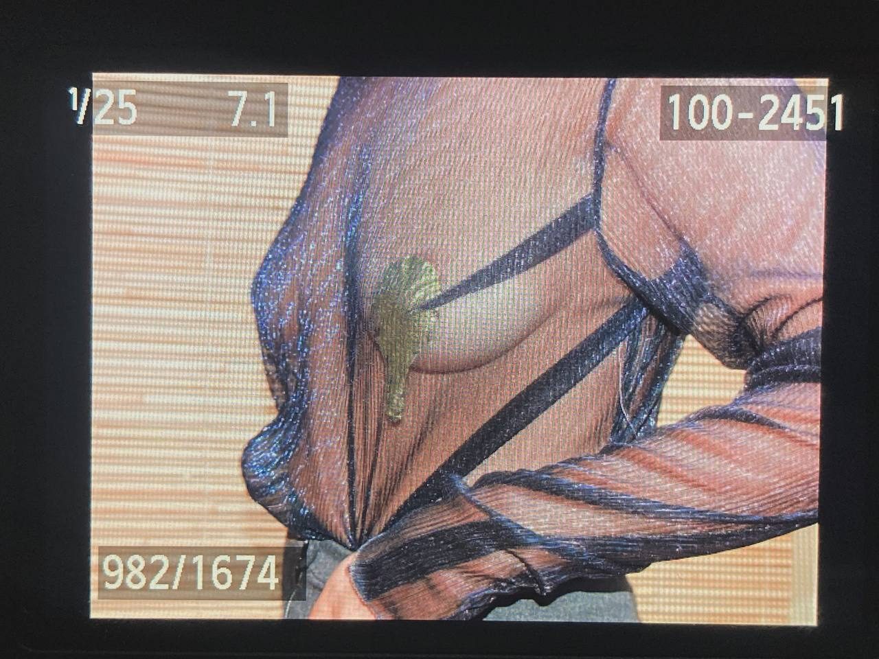 Detail of a sheer mesh top with delicate applique