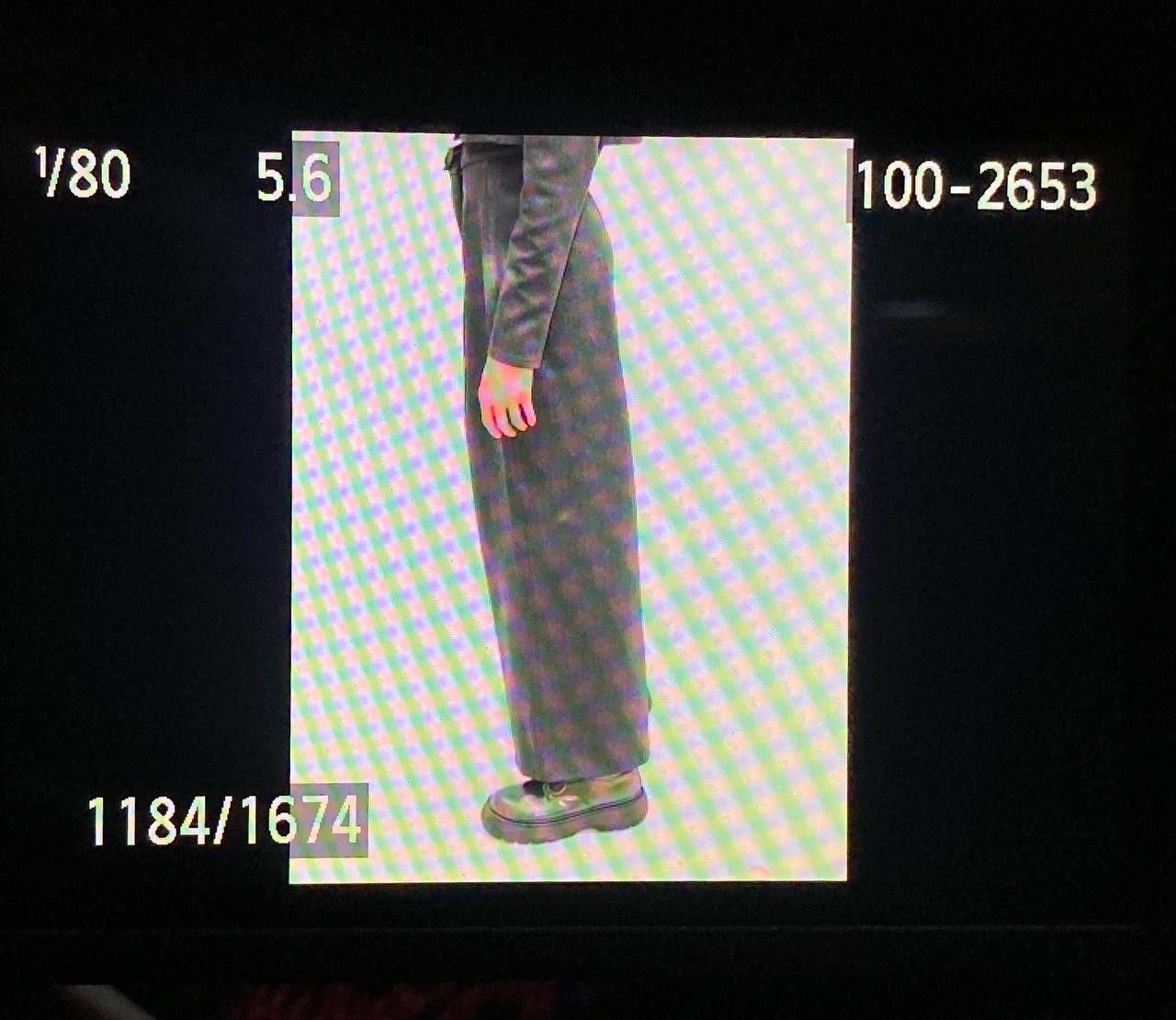 Side view of pleated wide-leg trousers