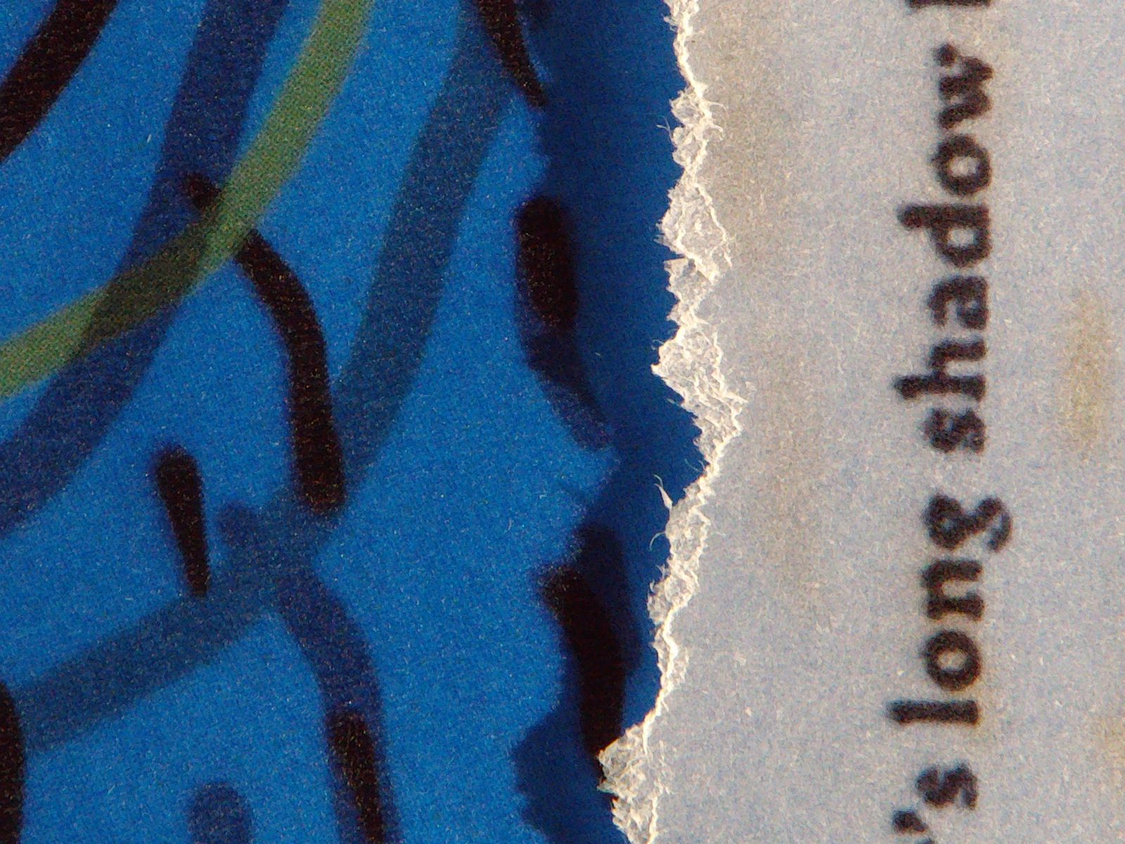 Blue page with torn text reading long shadow
