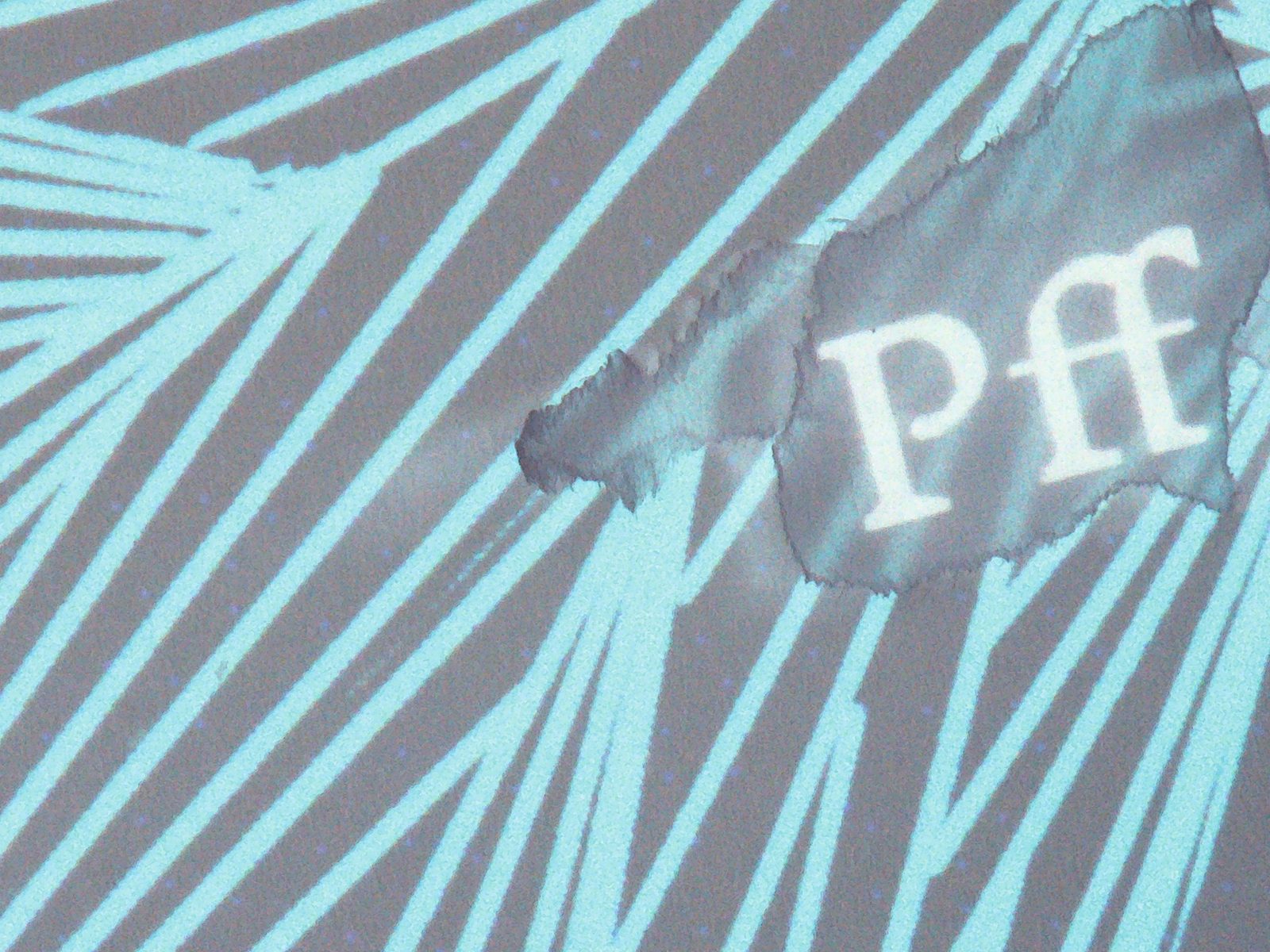 Torn fragment reading Pff over pale blue ray patterns