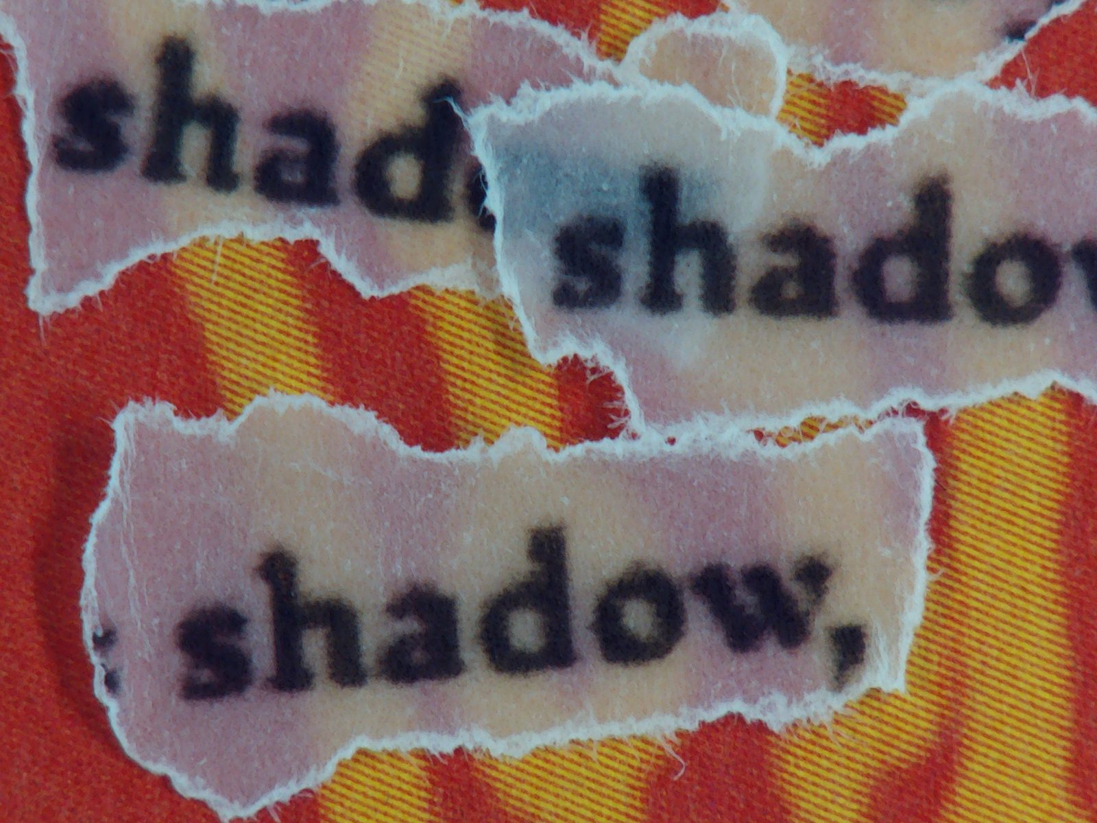 Red patterned page scattered with torn fragments reading shadow and shadows