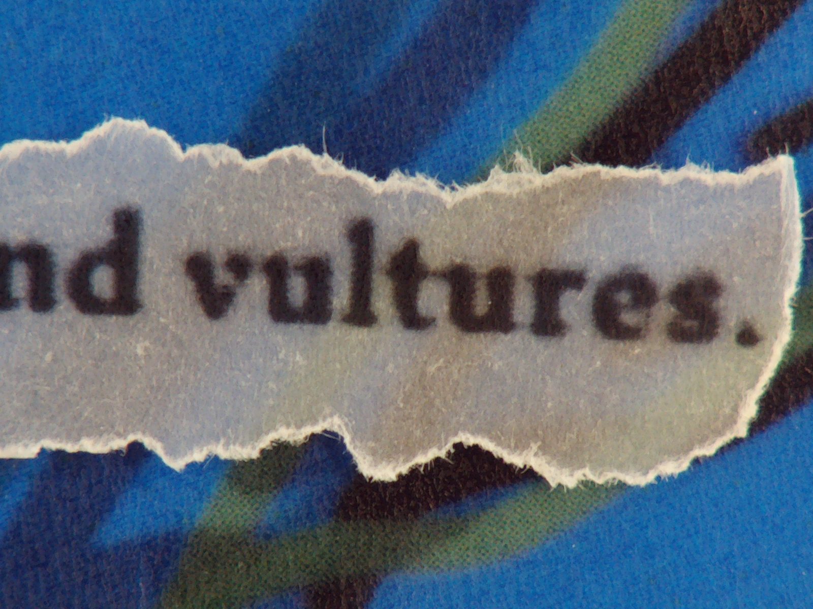 Blue page with torn text reading and vultures